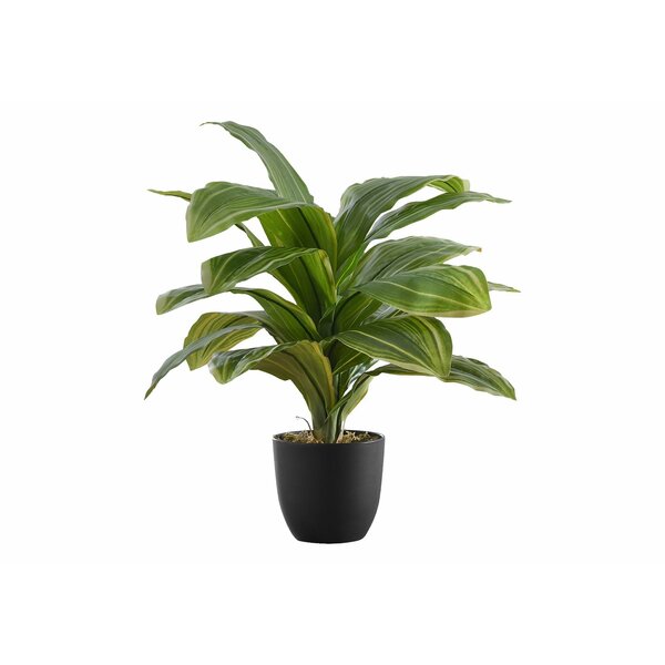 Monarch Specialties Artificial Plant, 17" Tall, Dracaena, Indoor, Faux, Fake, Table, Greenery, Potted, Real Touch I 9573